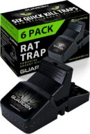 Rat Trap Six Pack