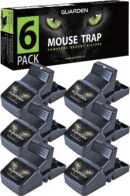 mouse traps indoor