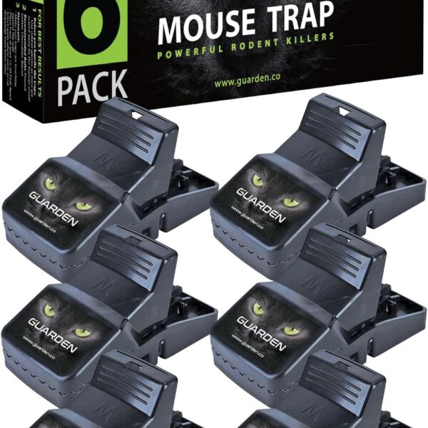mouse traps indoor